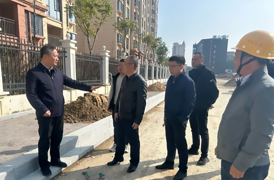 青山湖區(qū)黨委副書記、區(qū)長楊育星到利民路項目調(diào)研